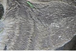 Photo of Various Textures